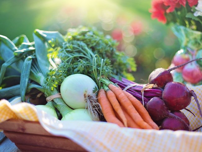 Best New England Farm Shares For Healthy Employee Diets