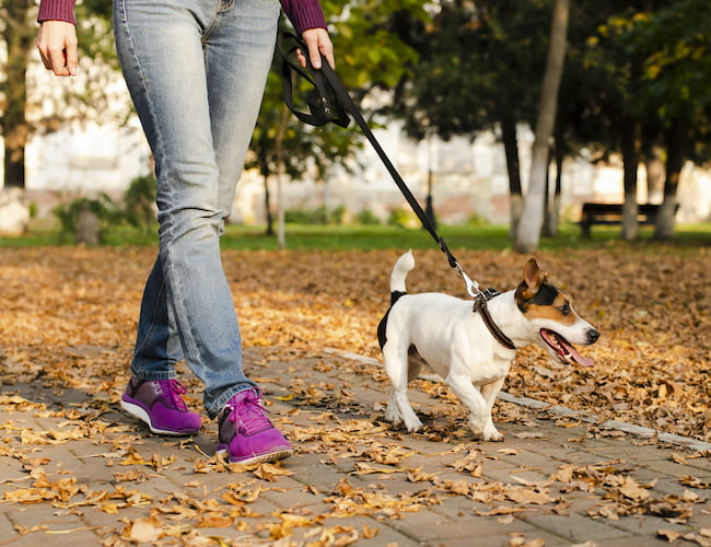 Studies Show Walking Improves Sleep, Could Help Prevent Alzheimer’s