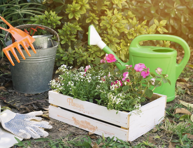 Study: Gardens Foster Better Nutrition, Urban Development, And Social Connection