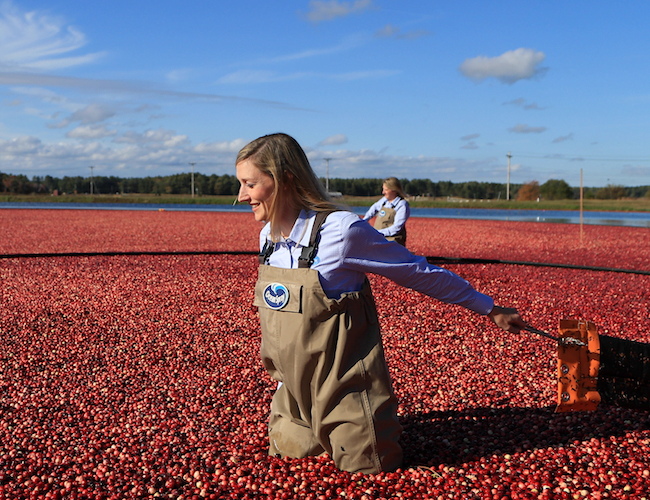 Ocean Spray Waives Employee Behavioral Health Copays