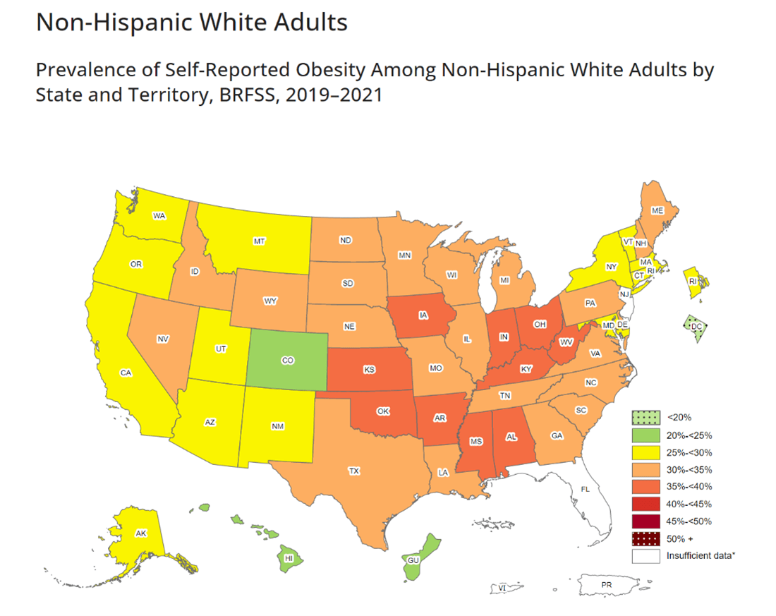 Alarming Obesity Rates Caused By A Broken U.S. Food System | Wellable